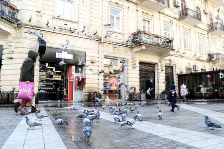 Bakıda “Sevgililər günü” - FOTOREPORTAJ