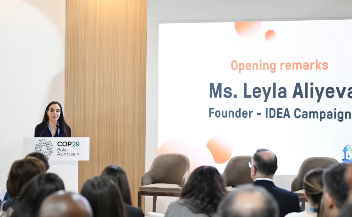 IDEA and Clean Air Fund organize panel discussions during COP29