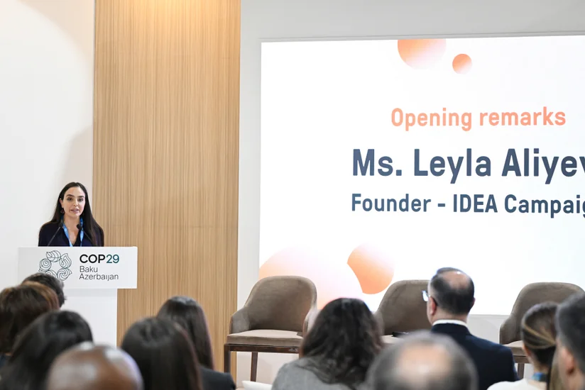 IDEA and Clean Air Fund organize panel discussions during COP29