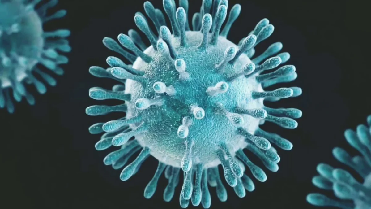 Panamada koronavirusa yoluxanların sayı artdı