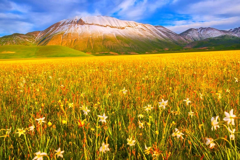 Weather forecast for tomorrow announced