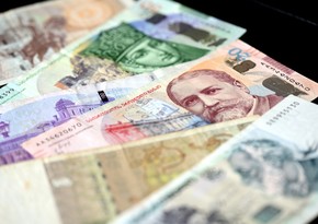 Gürcüstanın maliyyə naziri larinin ucuzlaşmasının səbəbini izah edib