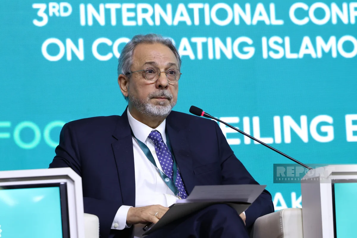 OIC special rep calls for drafting more comprehensive laws against racism