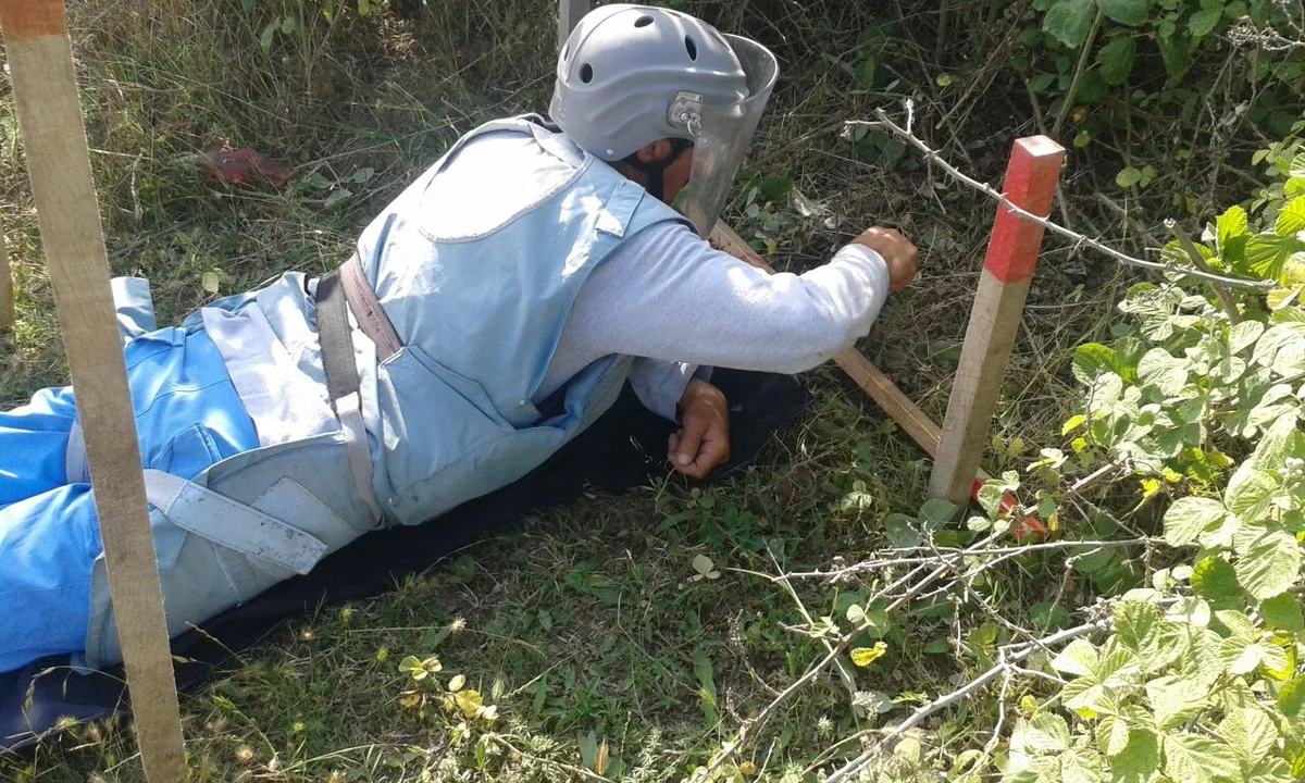 Cocuq Mərcanlıda gün ərzində 994 ədəd qəlpə aşkar edilib