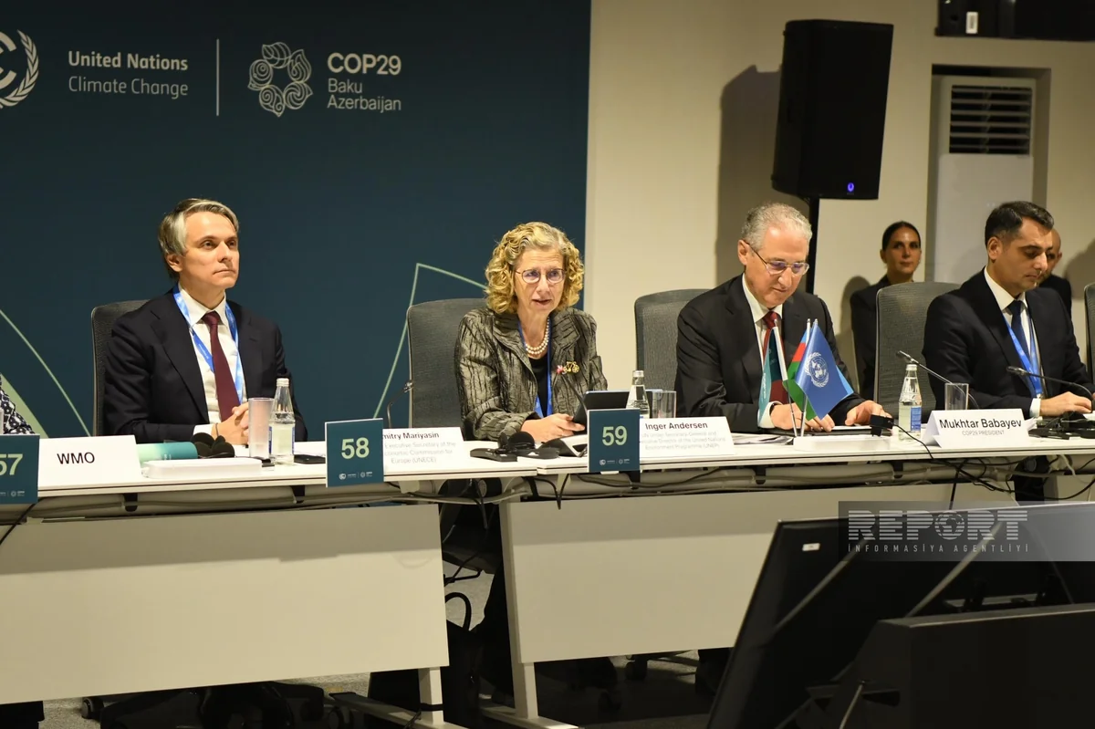 İnger Andersen: Dünyada təxminən 3 milyard insan su qıtlığı ilə üzləşir