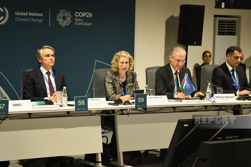 İnger Andersen: Dünyada təxminən 3 milyard insan su qıtlığı ilə üzləşir