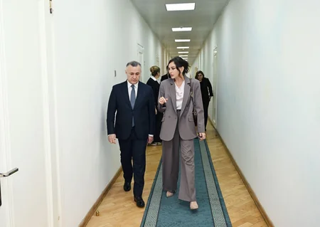 Mehriban Əliyeva Bakıdakı 1 saylı körpələr evində və 1 saylı uşaq evi sosial xidmət müəssisəsində olub