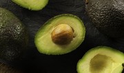 Azerbaijan begins avocado imports from Lebanon