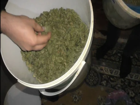 Qubada narkotik satıcısı və alıcısı tutuldu - VİDEO