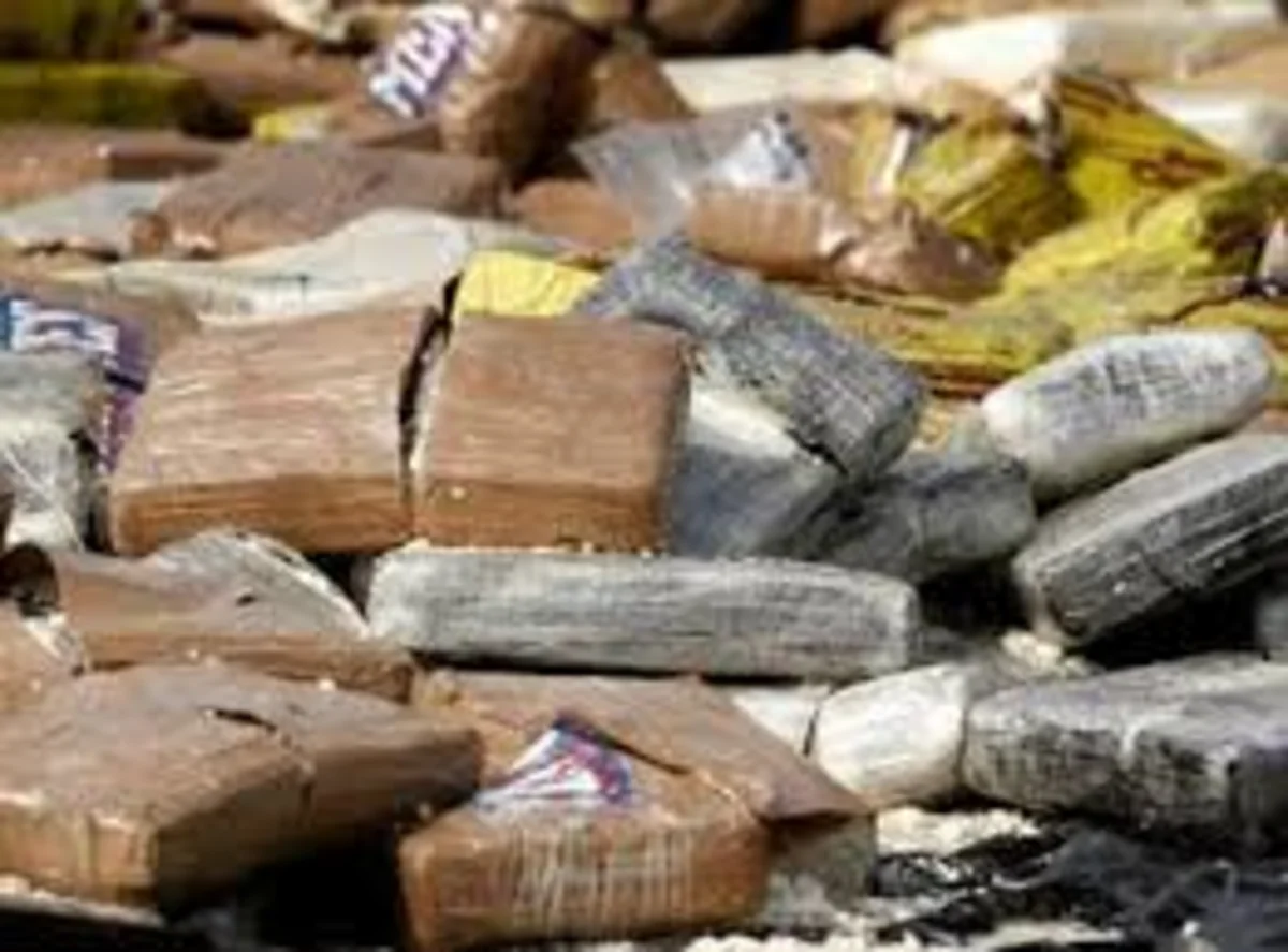 Ötən ay Azərbaycanda 10 min kiloqrama yaxın narkotik maddə məhv edilib