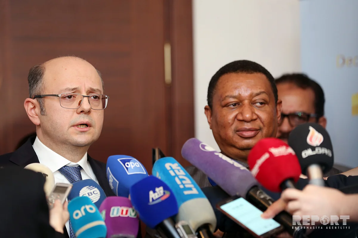 Nazir: “Hazırda Azərbaycan və OPEC arasında sıx əməkdaşlıq var”