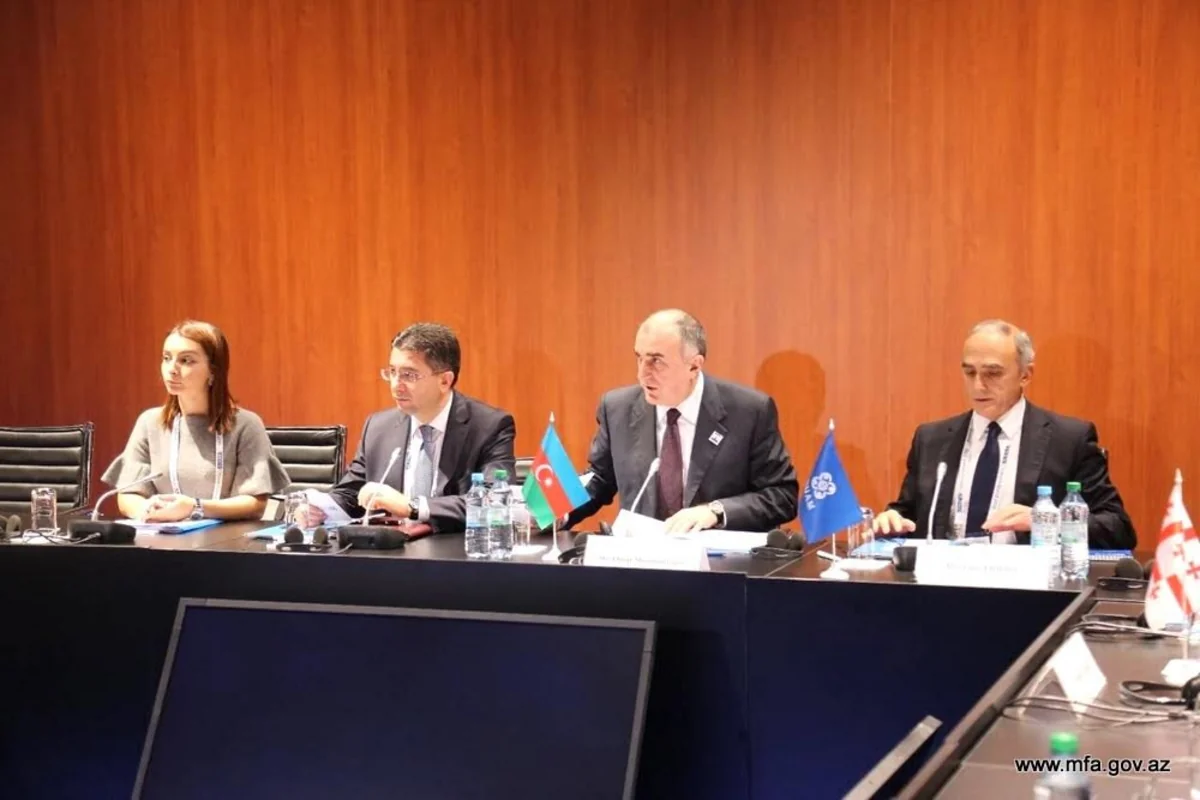 Azerbaijani FM chairs GUAM Ministerial Meeting in Hamburg