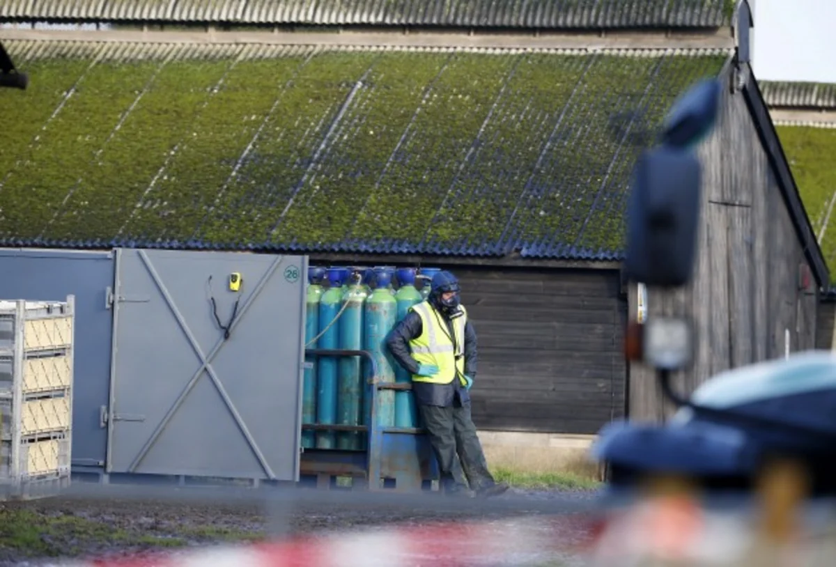 ​Highly contagious bird flu identified in Germany