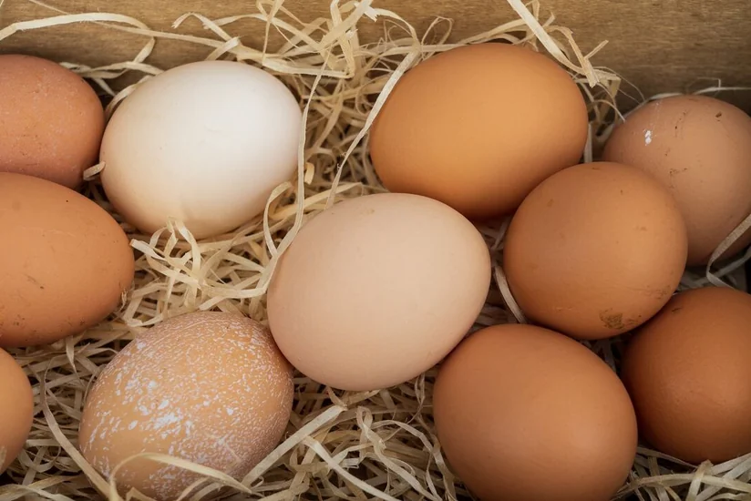 US nearly doubles egg imports from Brazil due to avian flu outbreak