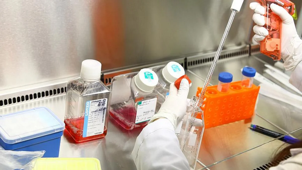 İnsan və heyvanda olan hər növ virus müəyyən ediləcək
