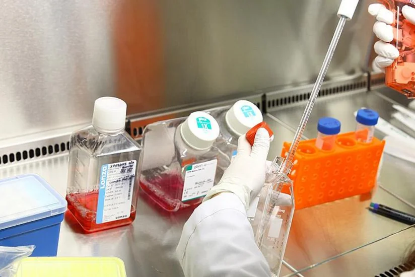 İnsan və heyvanda olan hər növ virus müəyyən ediləcək