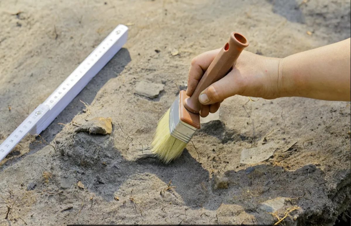 Ученые обнаружили новый древний вид рептилии