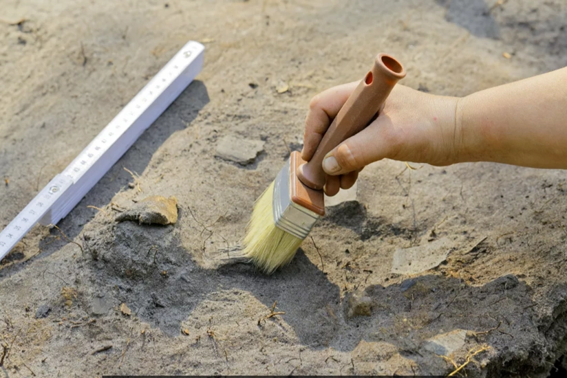 Ученые обнаружили новый древний вид рептилии