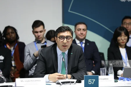 В рамках COP29 состоялся круглый стол высокого уровня по вопросам детей, молодежи и климатических действий