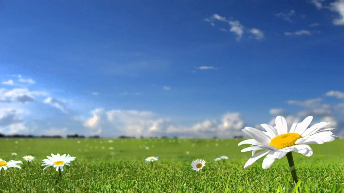 Weather forecast for August in Azerbaijan announced