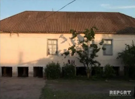 Во дворе жителя Саатлы обнаружен 61 куст конопли - ФОТО