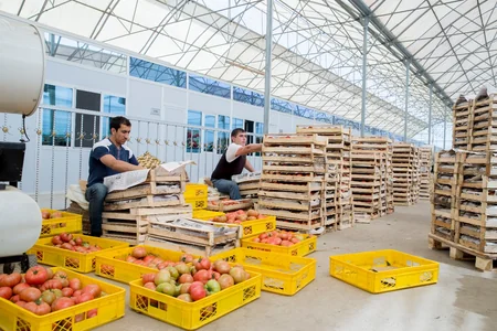Kənd təsərrüfatı naziri Sabirabadda laboratoriyalara baxış keçirib
