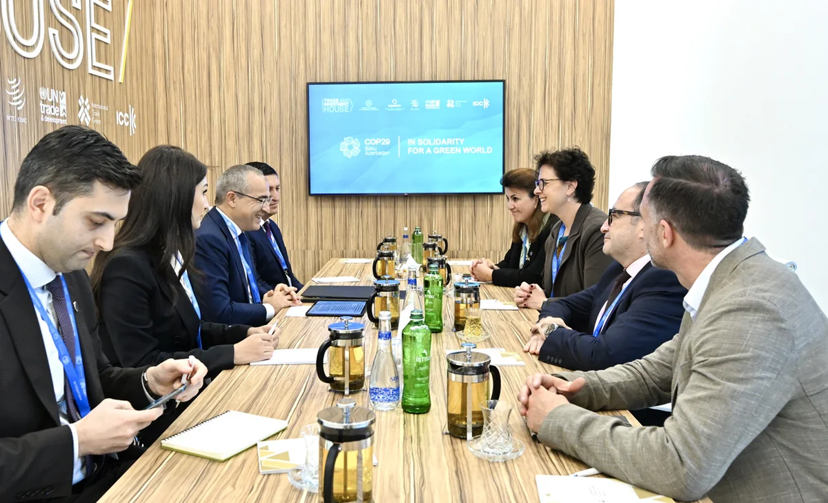 Azerbaijan, EY mull green economy transition