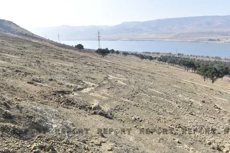 Mürəkkəb relyefli, sərt yamaclı ərazilərdə ağac əkininə başlanılıb