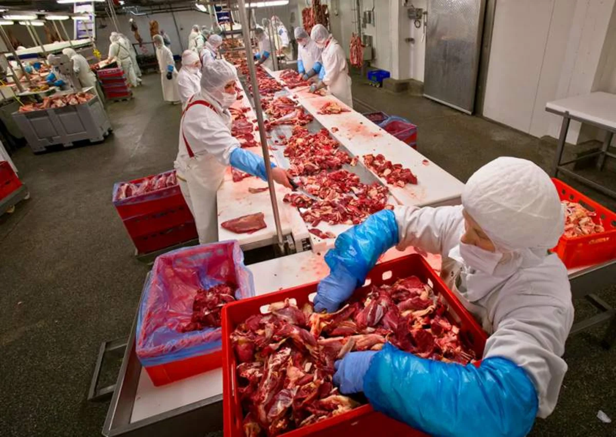 ​Россия провела переговоры с Азербайджаном об экспорте мяса