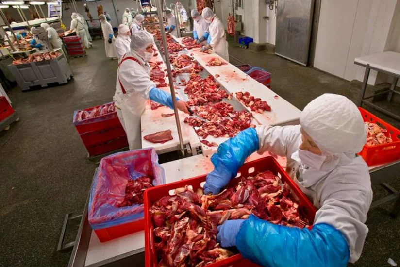​Россия провела переговоры с Азербайджаном об экспорте мяса