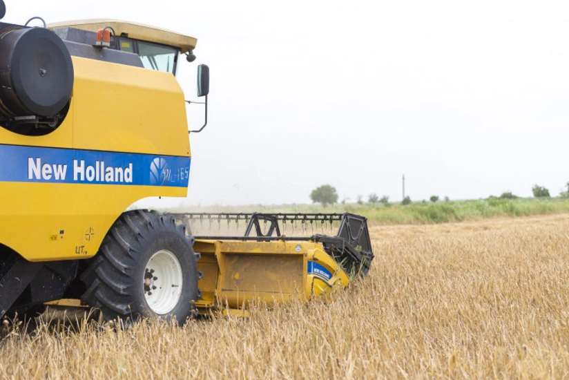 Nazirlik: Taxıl sahələrinin 63 %-də biçin başa çatıb