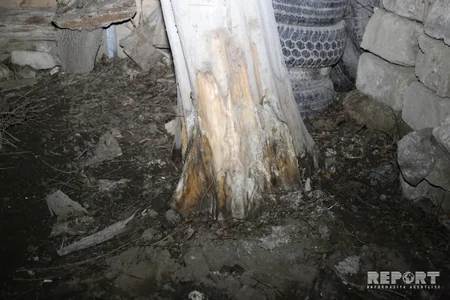 Ağac hər an evin üzərinə düşə bilər - VİDEOREPORTAJ