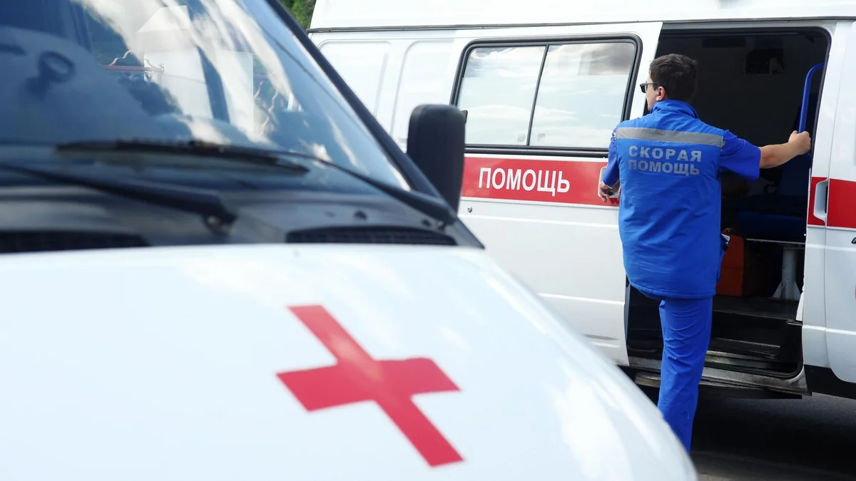 Число отравившихся шаурмой во Владимире увеличилось до 76
