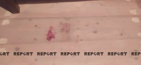 Ağstafada qadının qətlinin bəzi təfərrüatları məlum olub - YENİLƏNİB