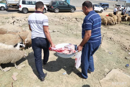 Bakıda qurbanlıq heyvanların satış yarmarkaları  - FOTOREPORTAJ
