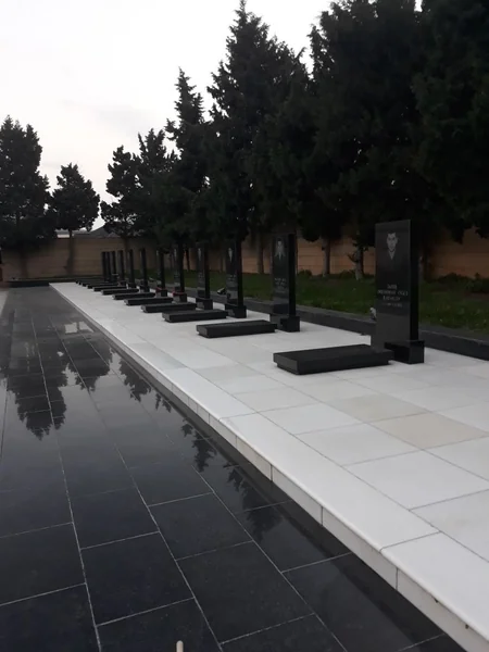 Generalın həbs edilən bacısı oğlu şəhid ailəsinin üzvüdür