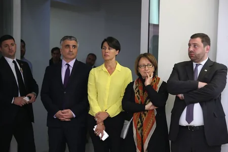 Gürcüstan Prezidenti etnik azlıqların nümayəndələri ilə görüşüb