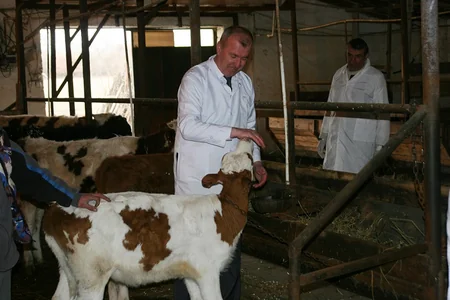 Qusarda heyvanlar arasında iti yoluxucu xəstəliklərə qarşı profilaktik tədbirlər aparılır