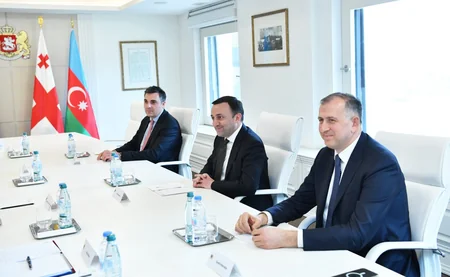 Sahibə Qafarova Gürcüstanın Baş naziri ilə görüşüb