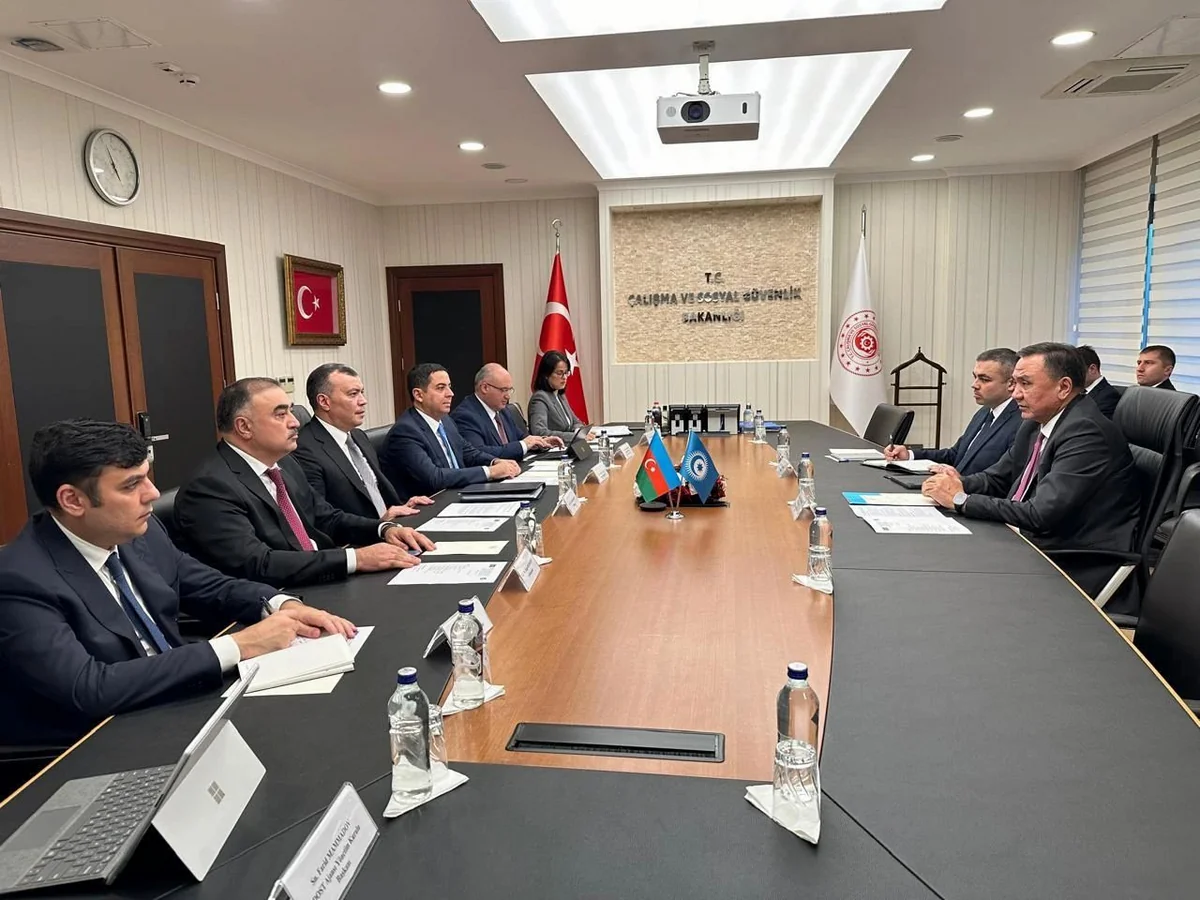 TDT çərçivəsində əmək və məşğulluq üzrə işçi qrupunun yaradılması təklif edilib