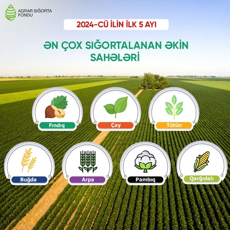 Azərbaycanda aqrar sığorta ödənişləri 2 dəfədən çox artıb
