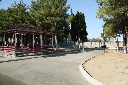Atılmış uşaqlar oyuncaqlarını atmır... - REPORTAJ