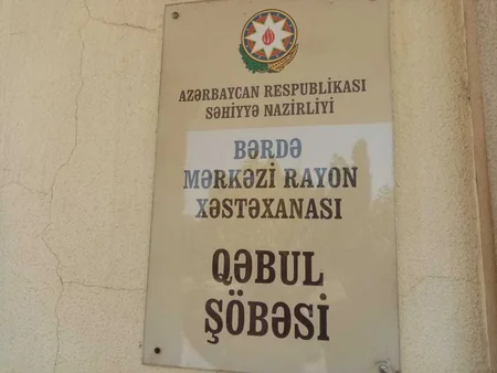 Bərdədə iki qadını ilan sancıb