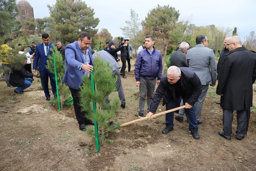 Birbank istifadəçilərinin dəstəyi ilə Gəncədə ağacəkmə aksiyası keçirilib