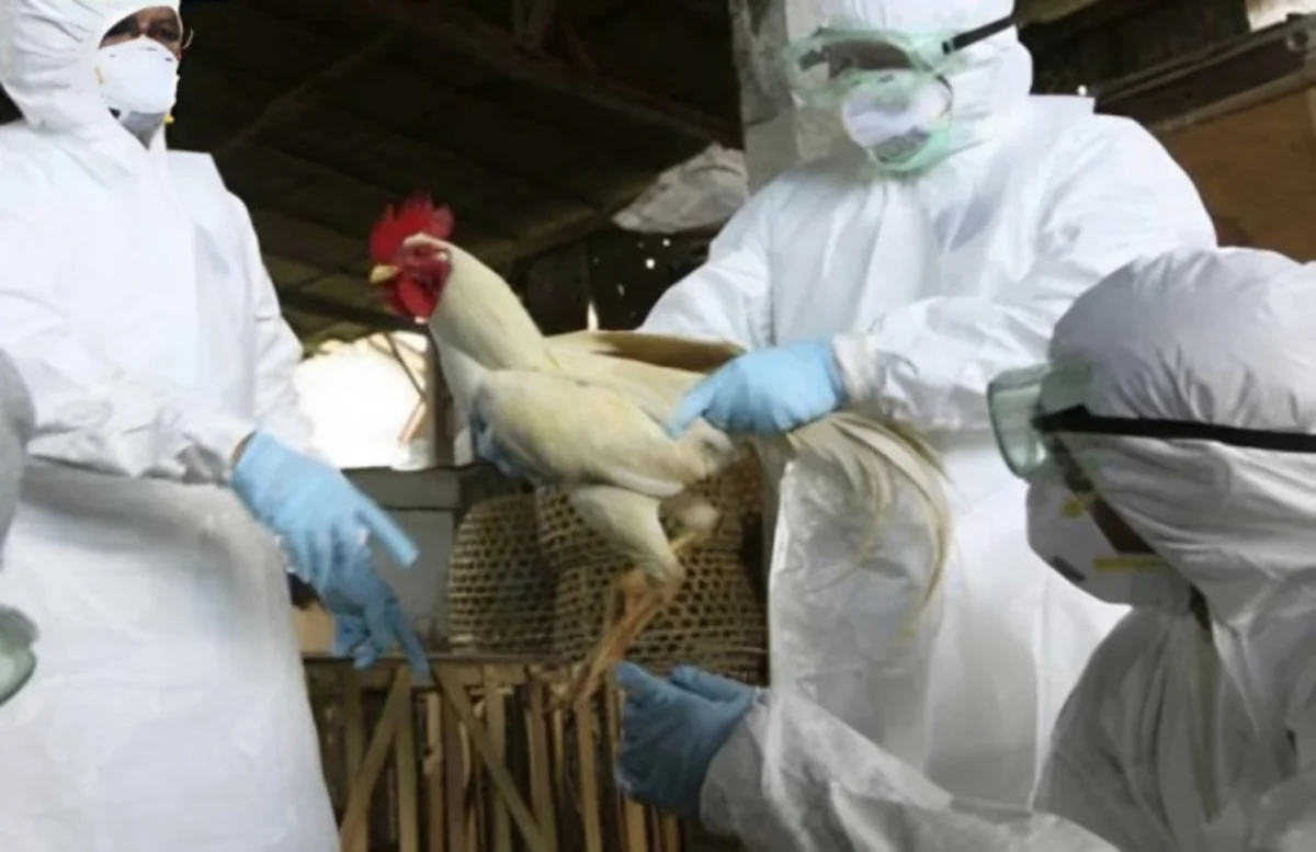 Азербайджан снял ограничения на импорт продукции из нескольких штатов США