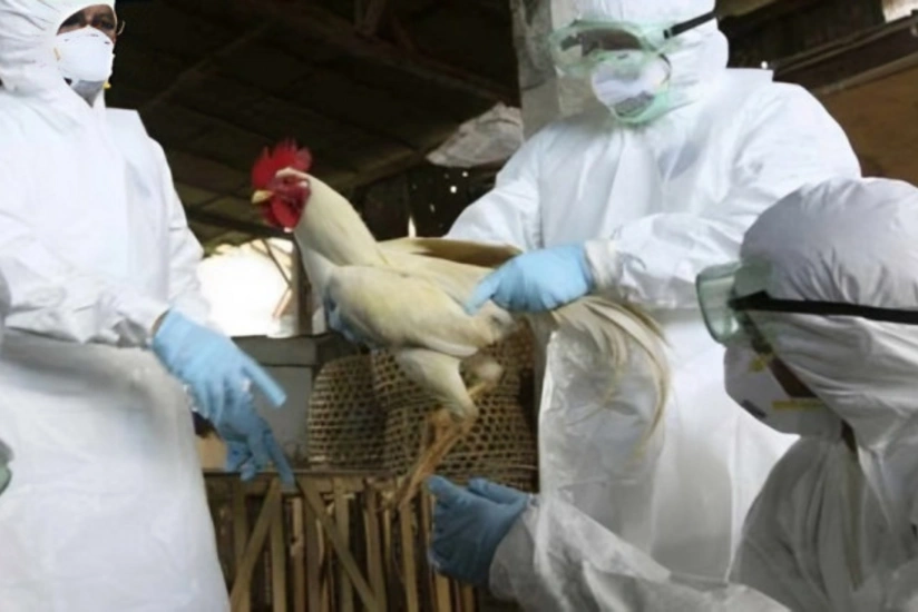 Азербайджан снял ограничения на импорт продукции из нескольких штатов США