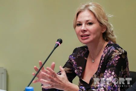 Czech Ambassador: Diversification of energy supply may be subject of cooperation between GUAM countries of Visegrad Group