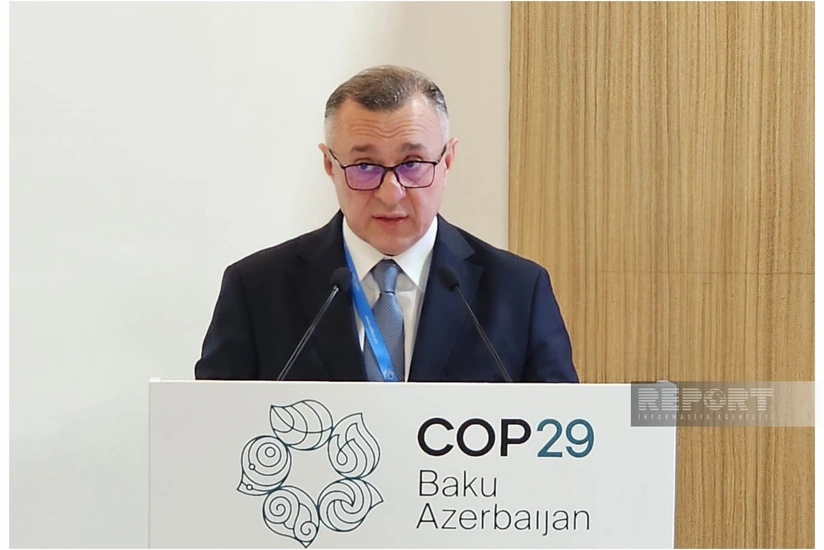 Teymur Musayev: Uşaqlar havanın çirklənməsinin mənfi təsirlərinə xüsusilə həssasdır