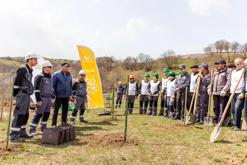 Прошла очередная акция по посадке деревьев вблизи месторождения золота Агйохуш-1
