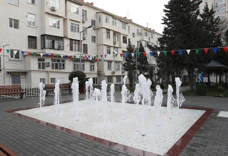 Leyla Əliyeva Bakıda abadlaşdırılan daha bir həyətin açılışını edib, ağac əkib